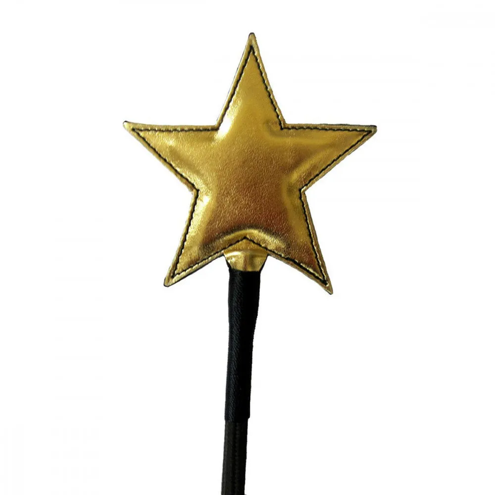 Ruff Doggie Styles Gold Star Crop