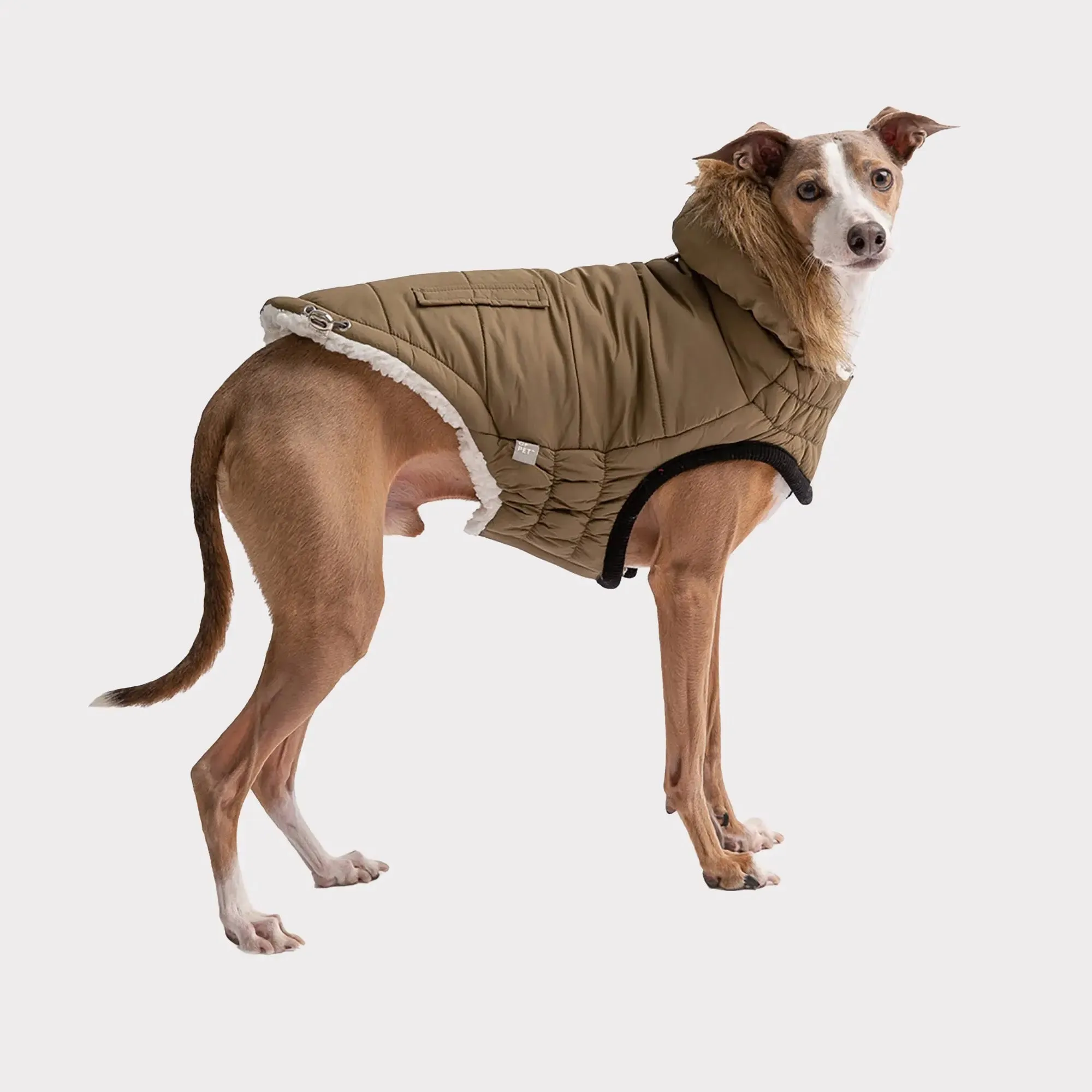 Urban Dog Parka | Khaki