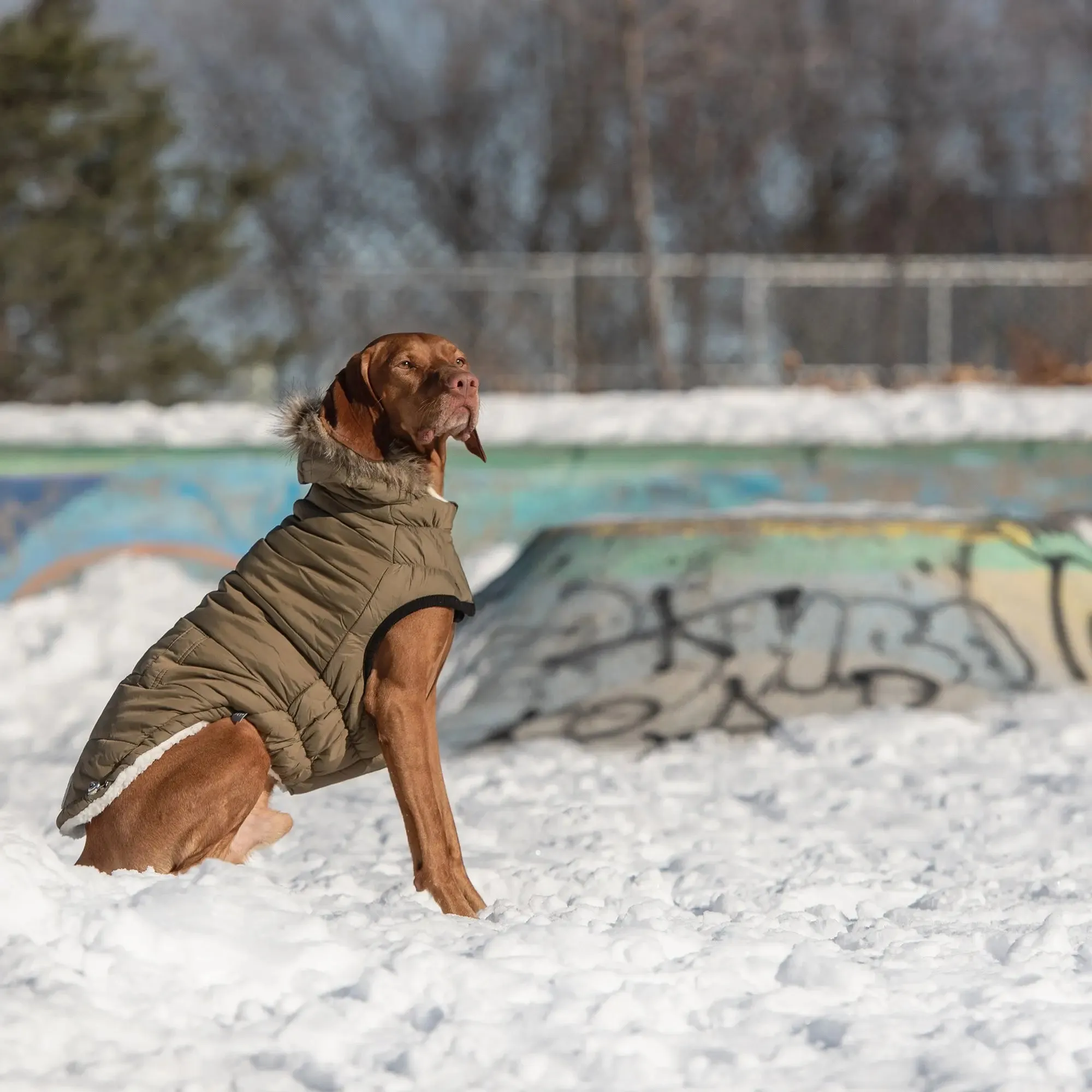 Urban Dog Parka | Khaki